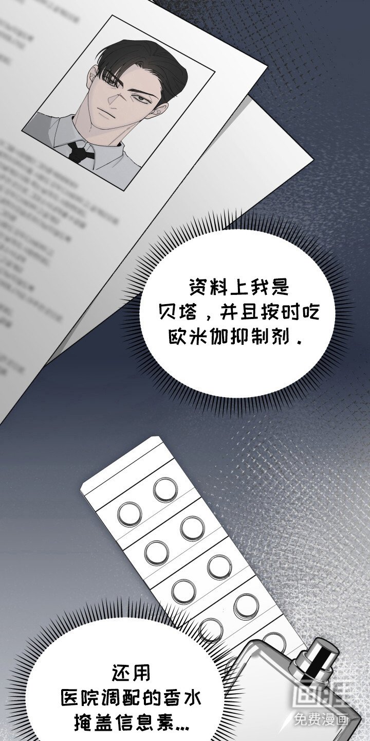 第2章：掩盖身份