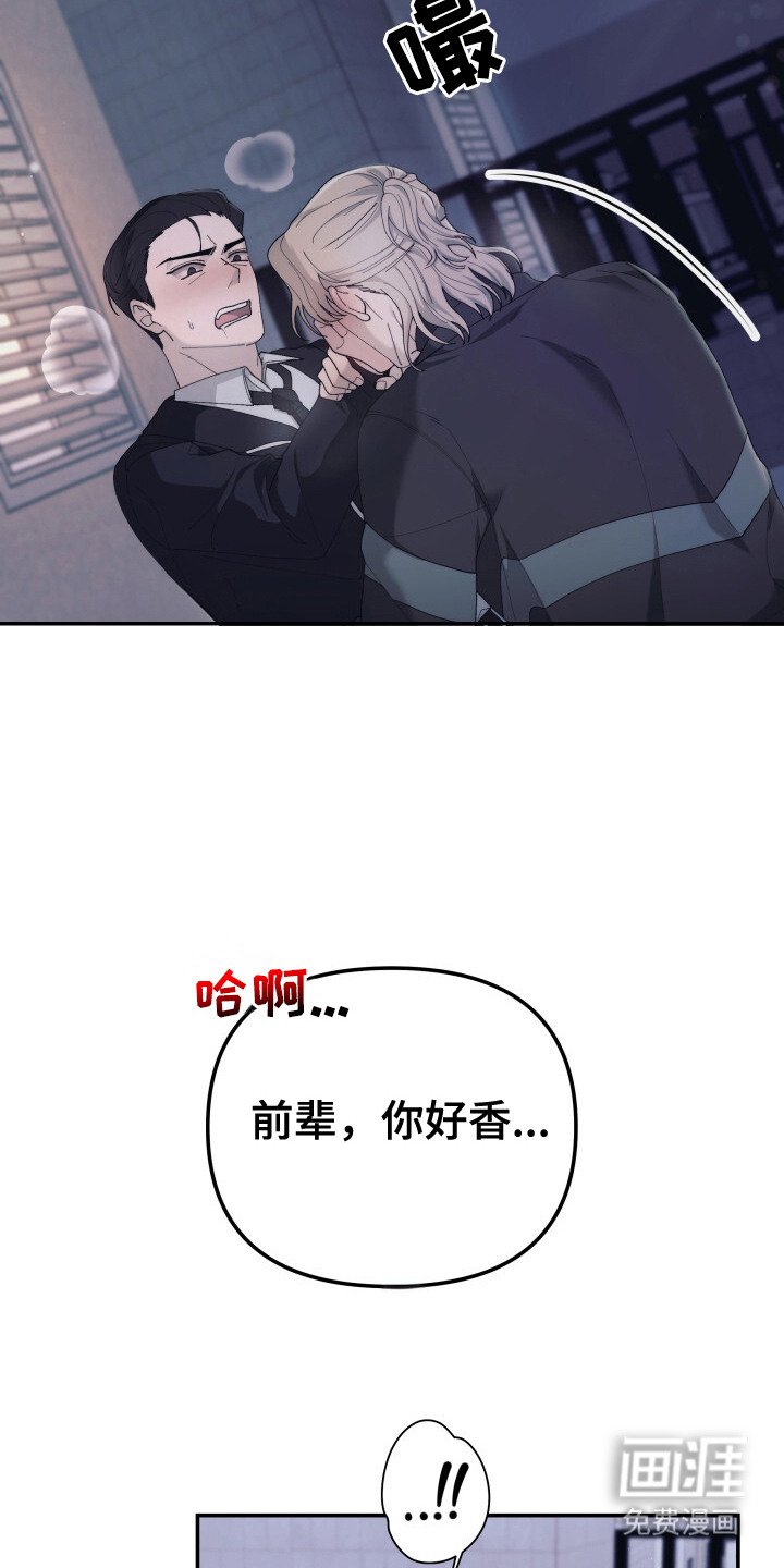第4章：味道