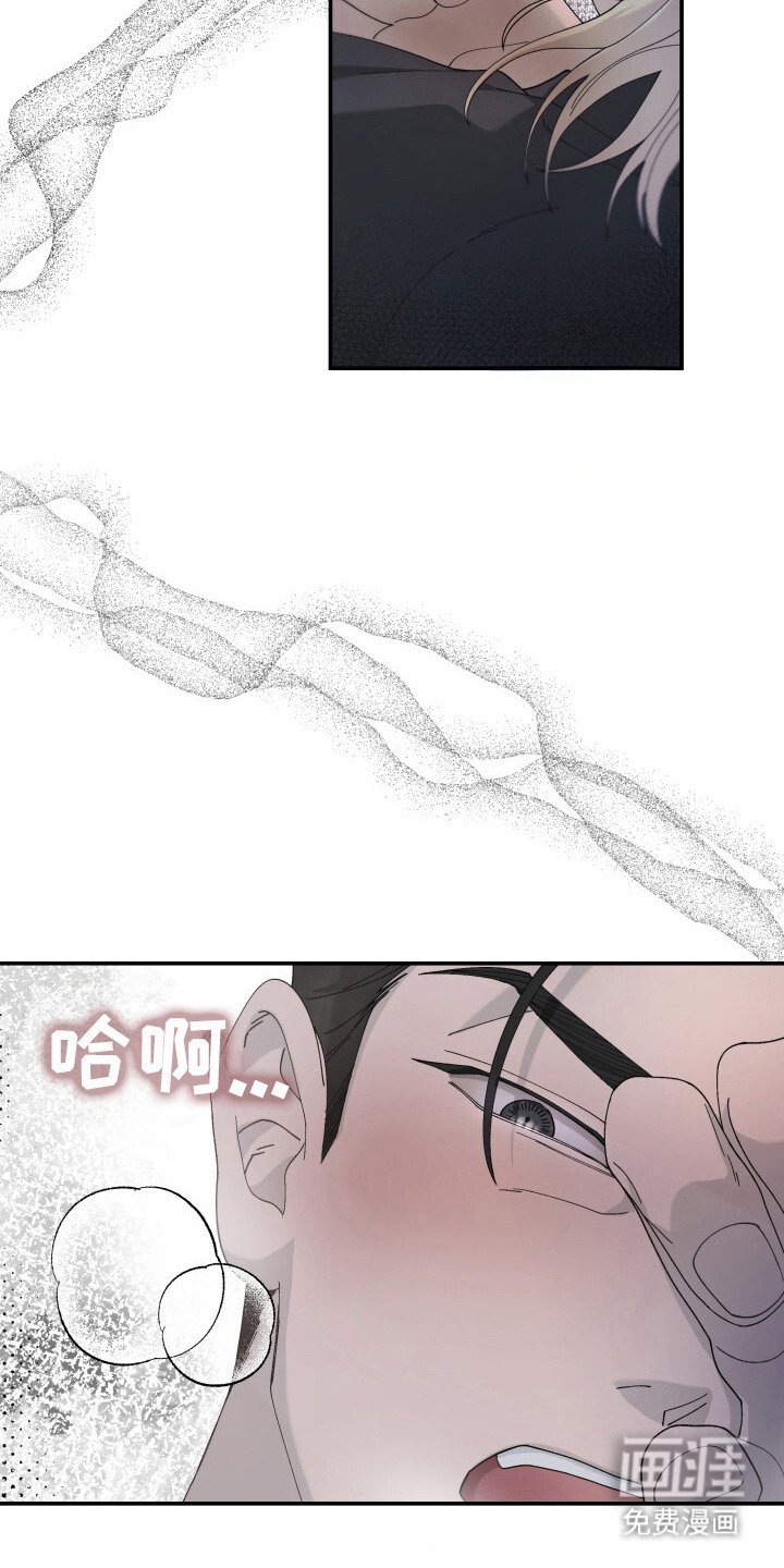 第4章：味道