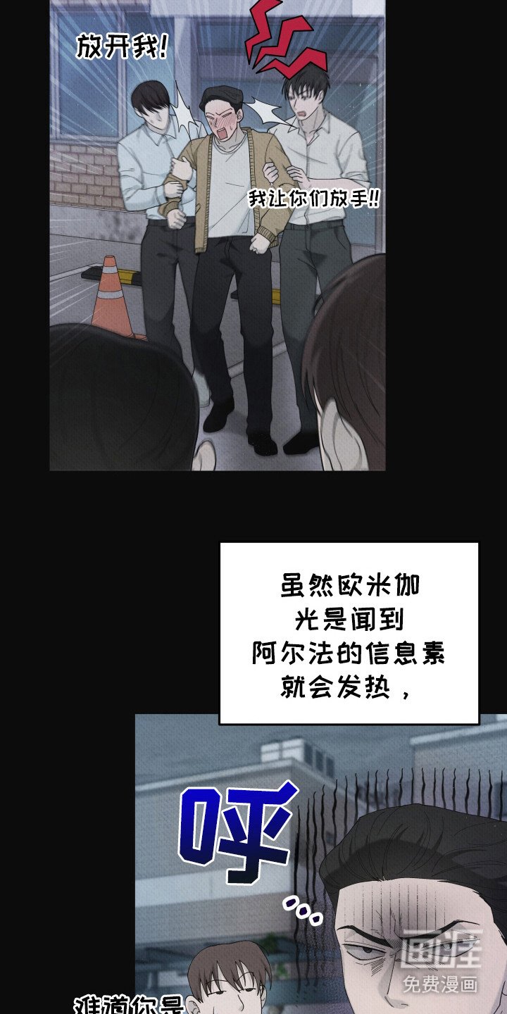 第4章：味道