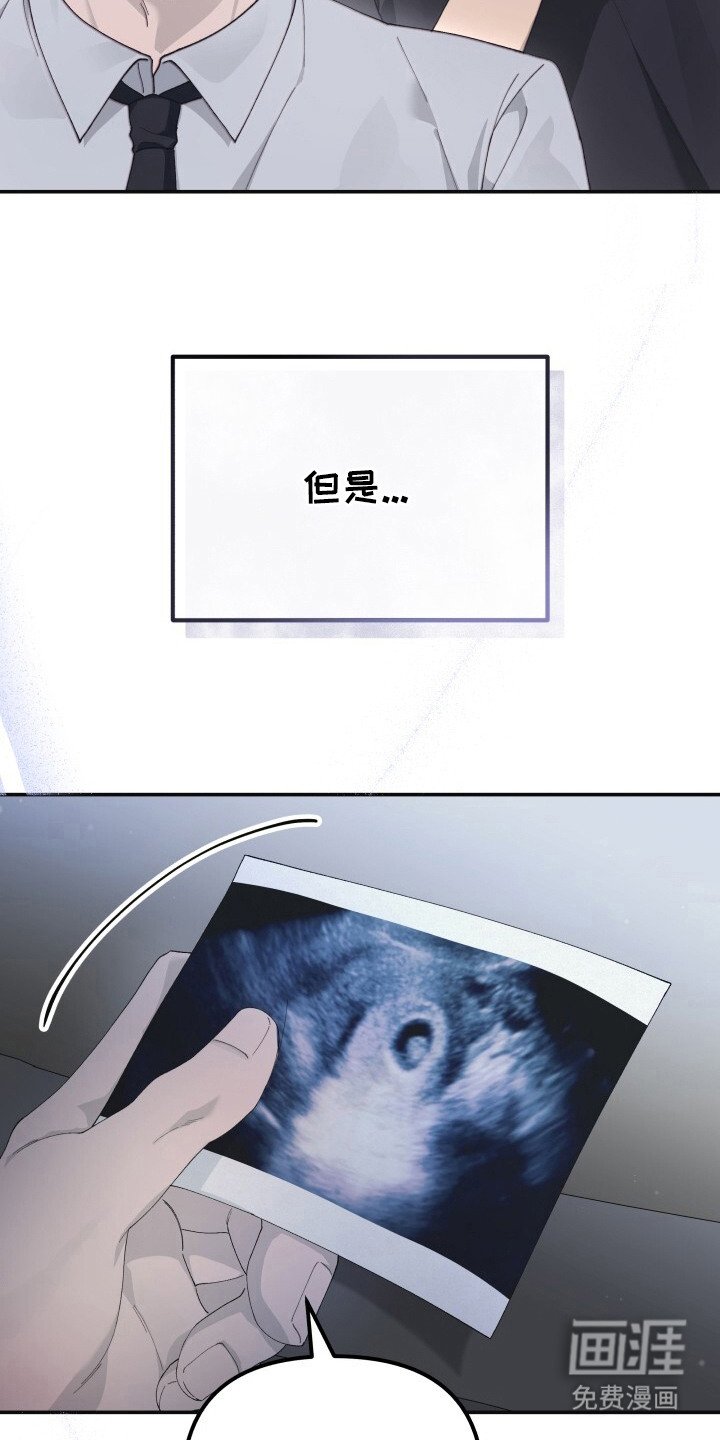 第8章：怀孕了