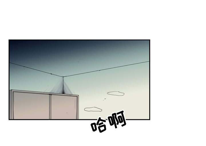 第13章：不幸