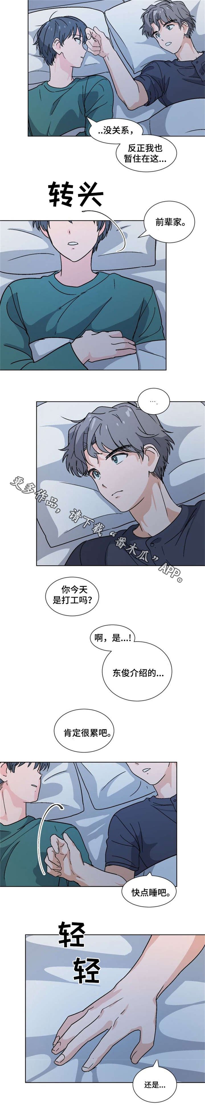 第20章：为什么