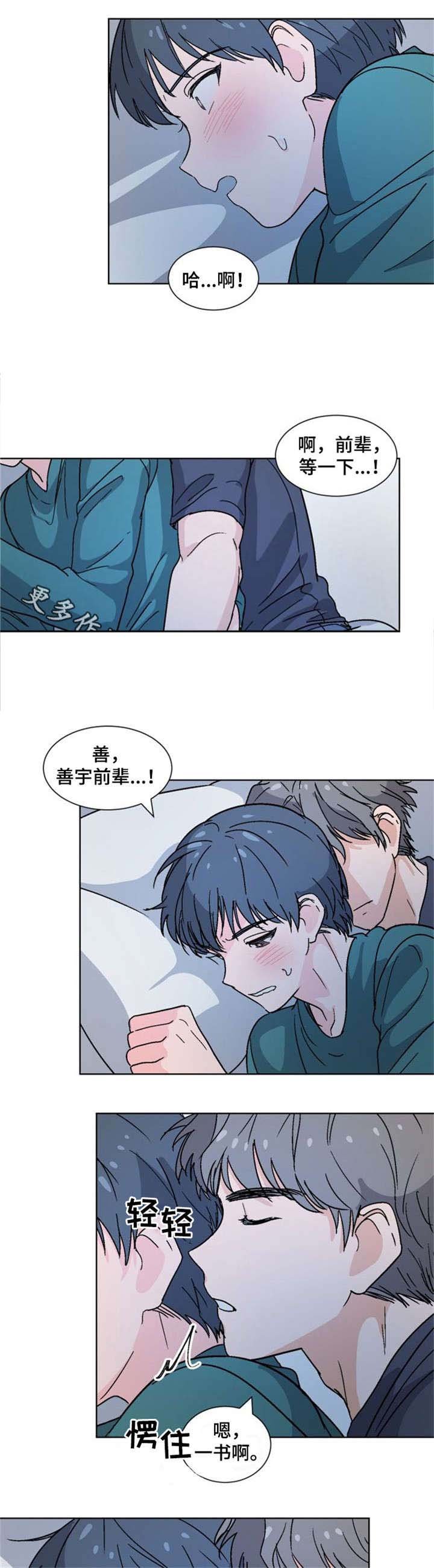 第20章：为什么
