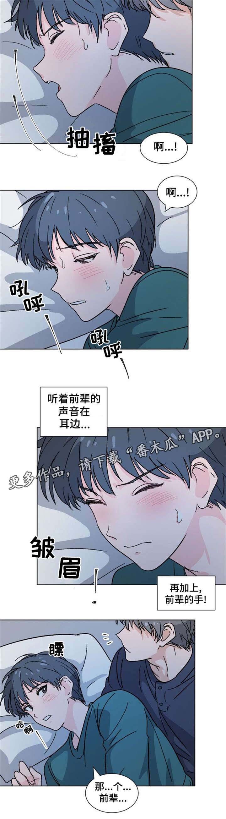 第20章：为什么