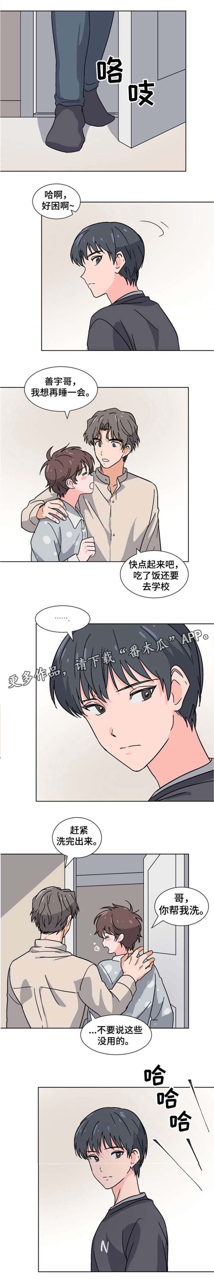 第20章：为什么