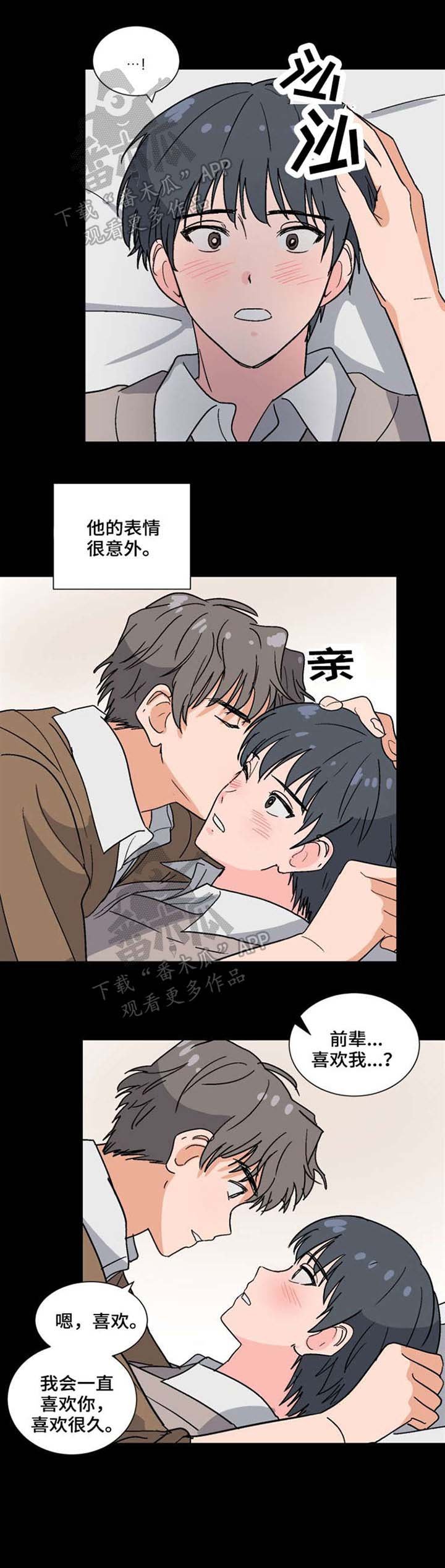 第41章：遗忘的真相