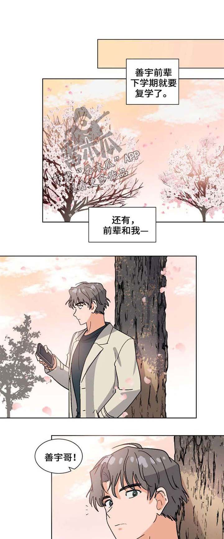 第52章：喜欢（完结）
