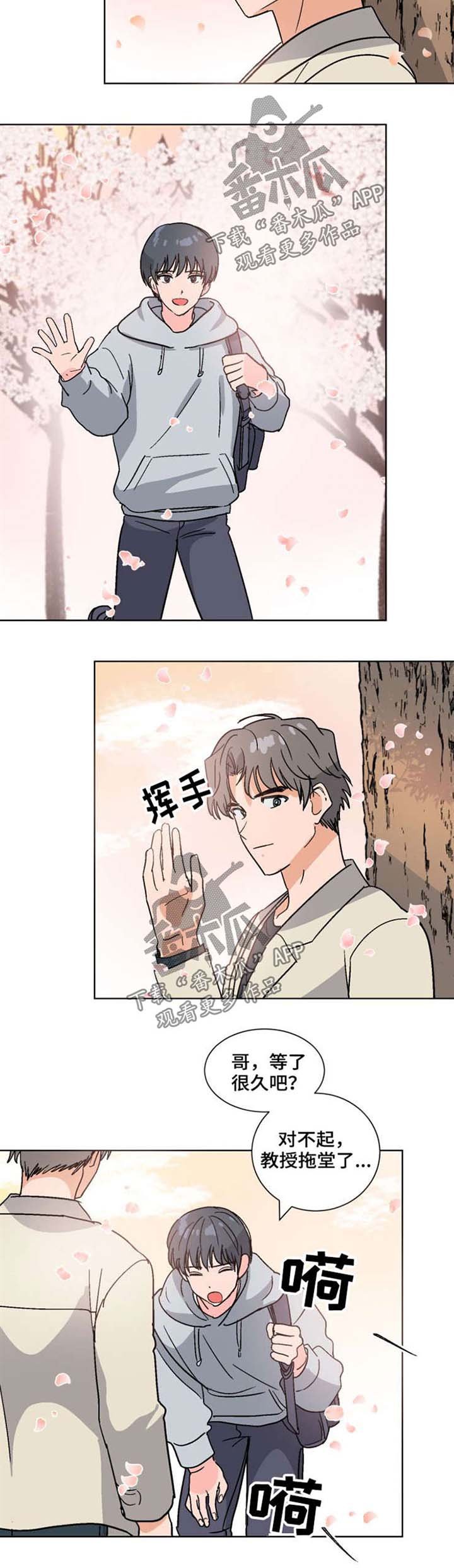 第52章：喜欢（完结）
