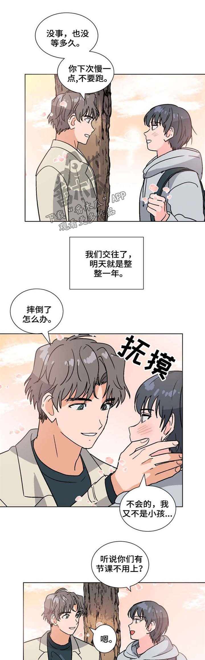 第52章：喜欢（完结）