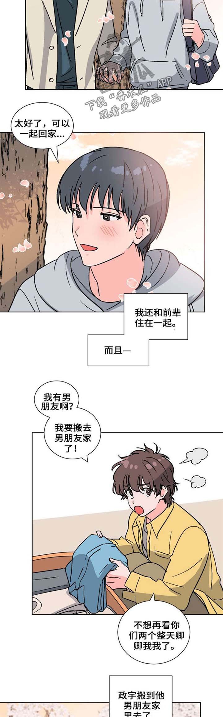 第52章：喜欢（完结）