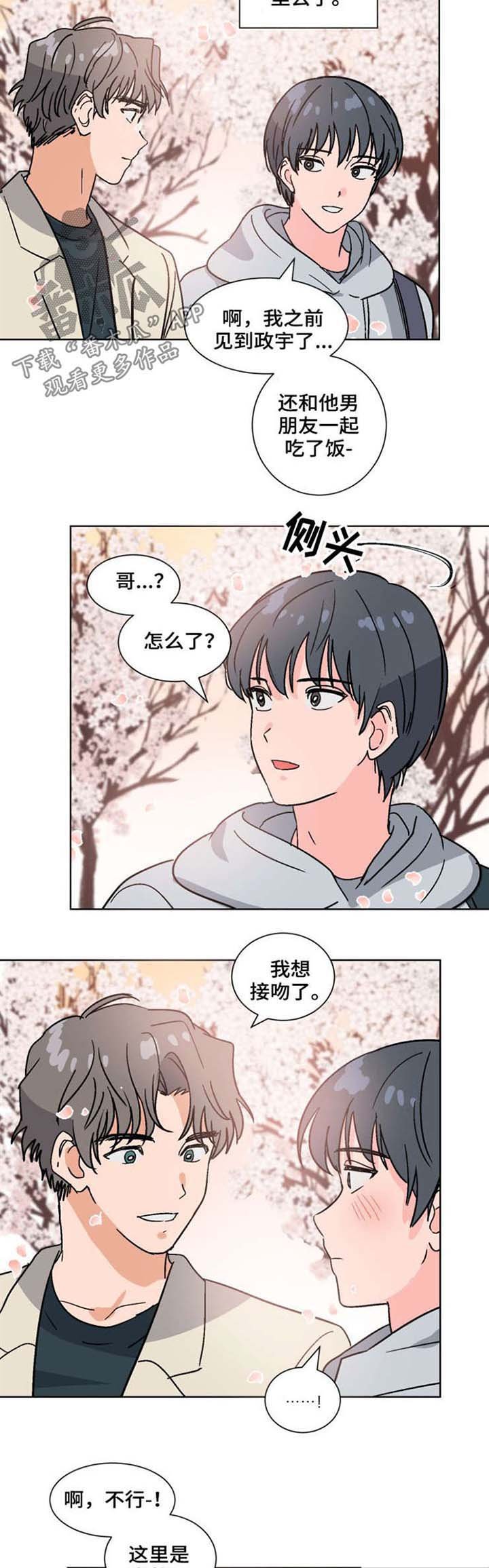 第52章：喜欢（完结）