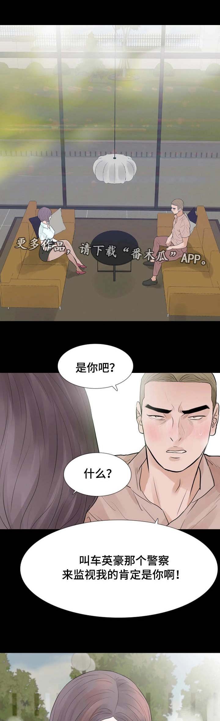 第29章：别墅