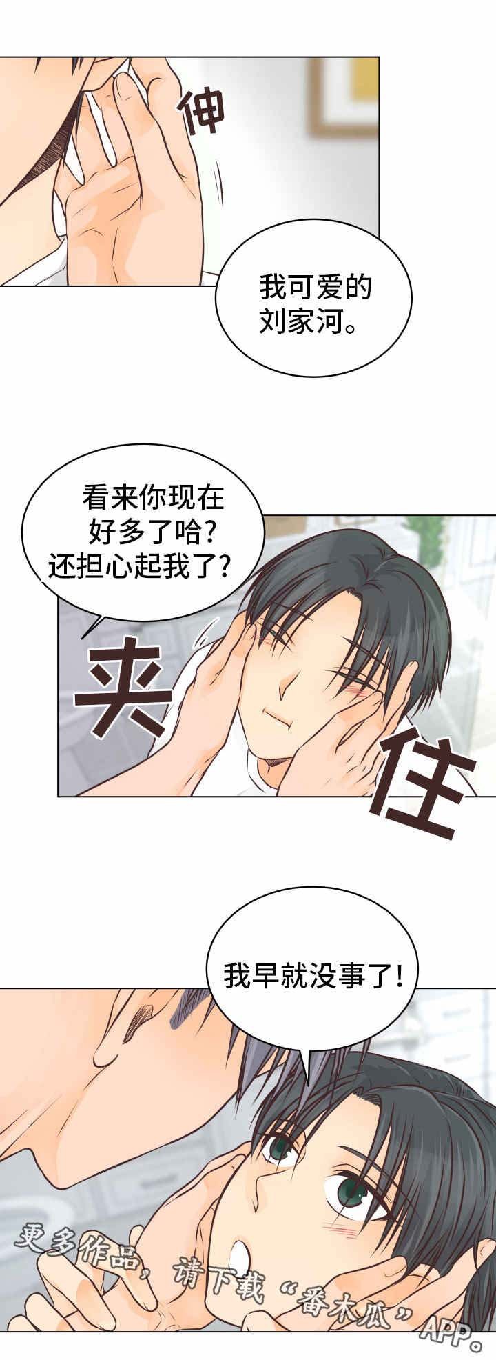 第24章：能力