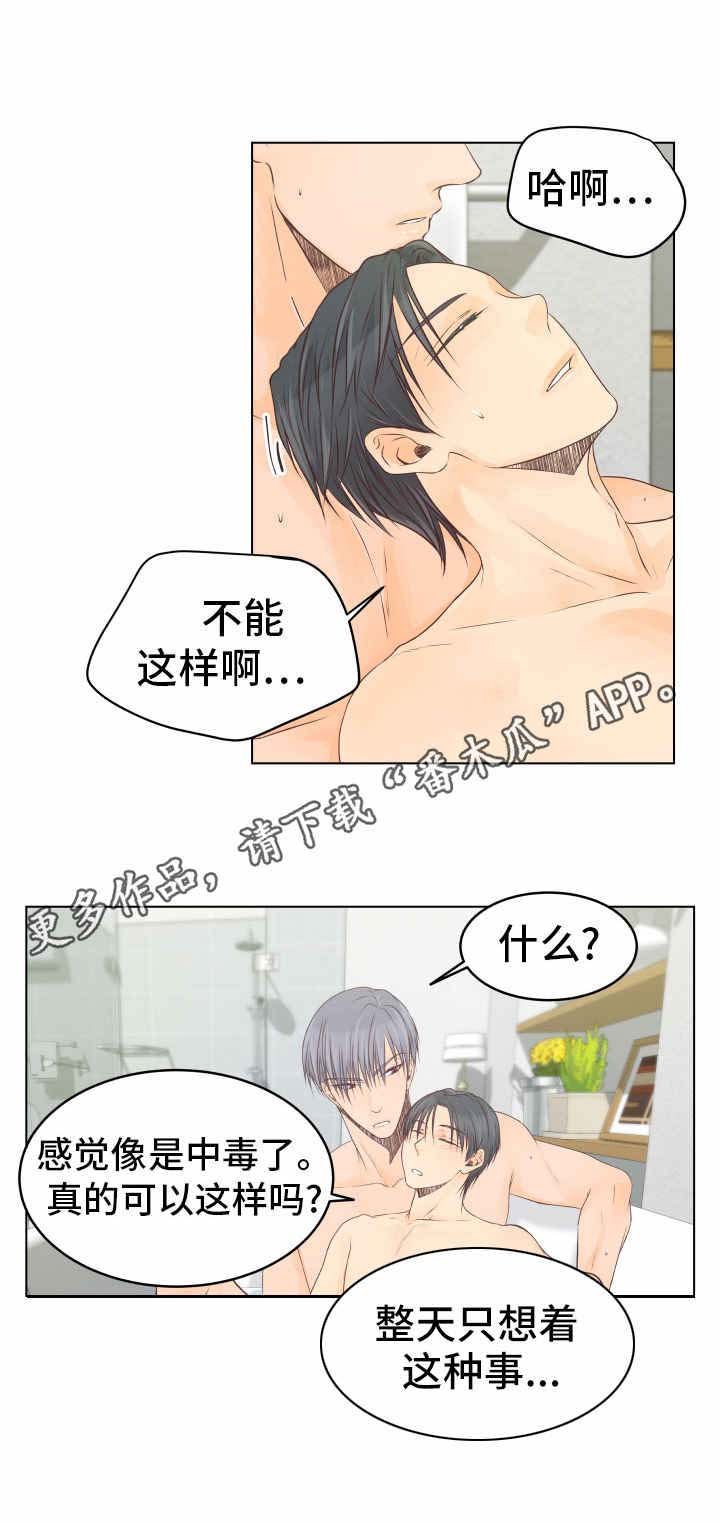 第25章：鸟笼（完结）