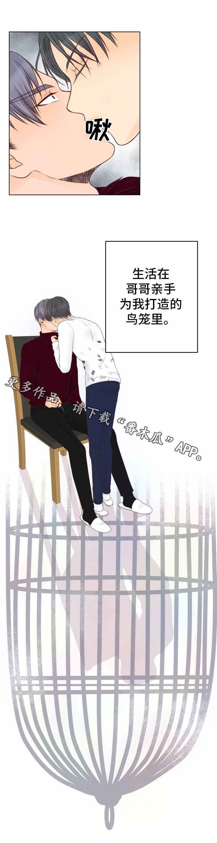 第25章：鸟笼（完结）