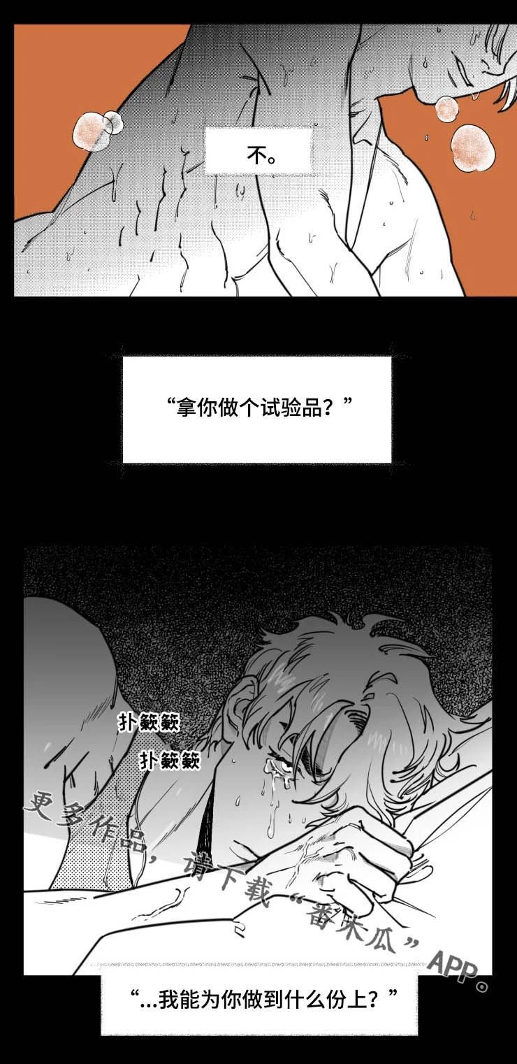 第22章：试验品