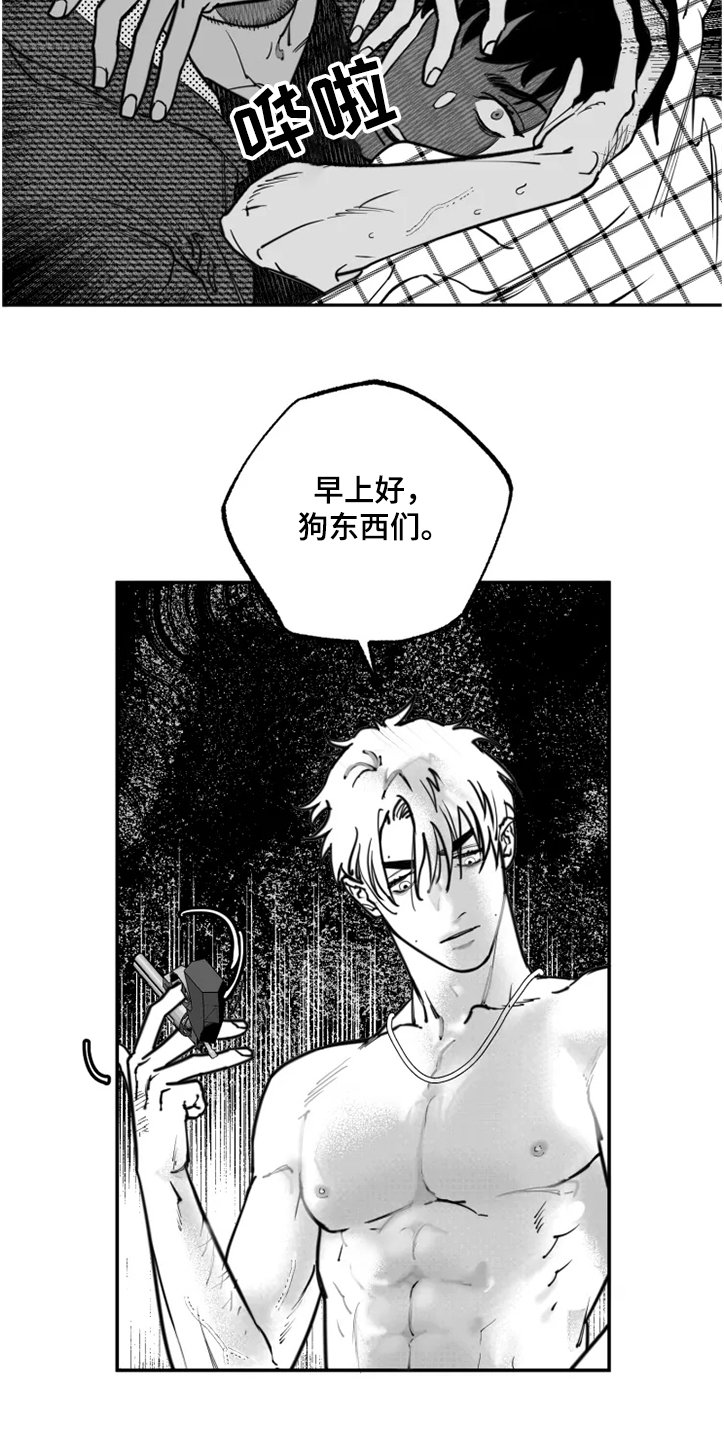 第33章：是你做的