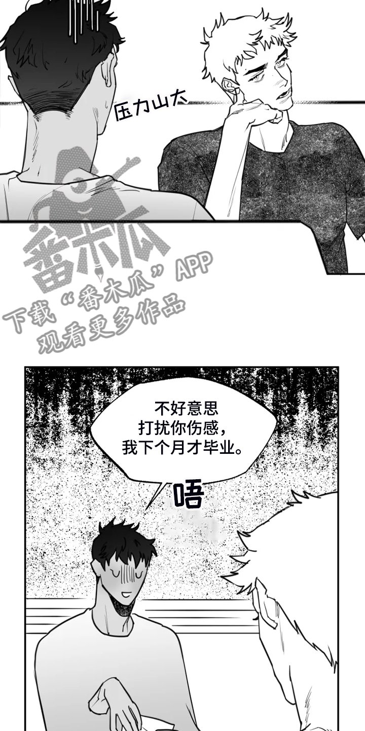 第50章：最后的表演？
