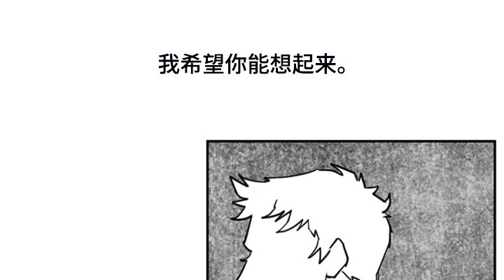 第50章：最后的表演？