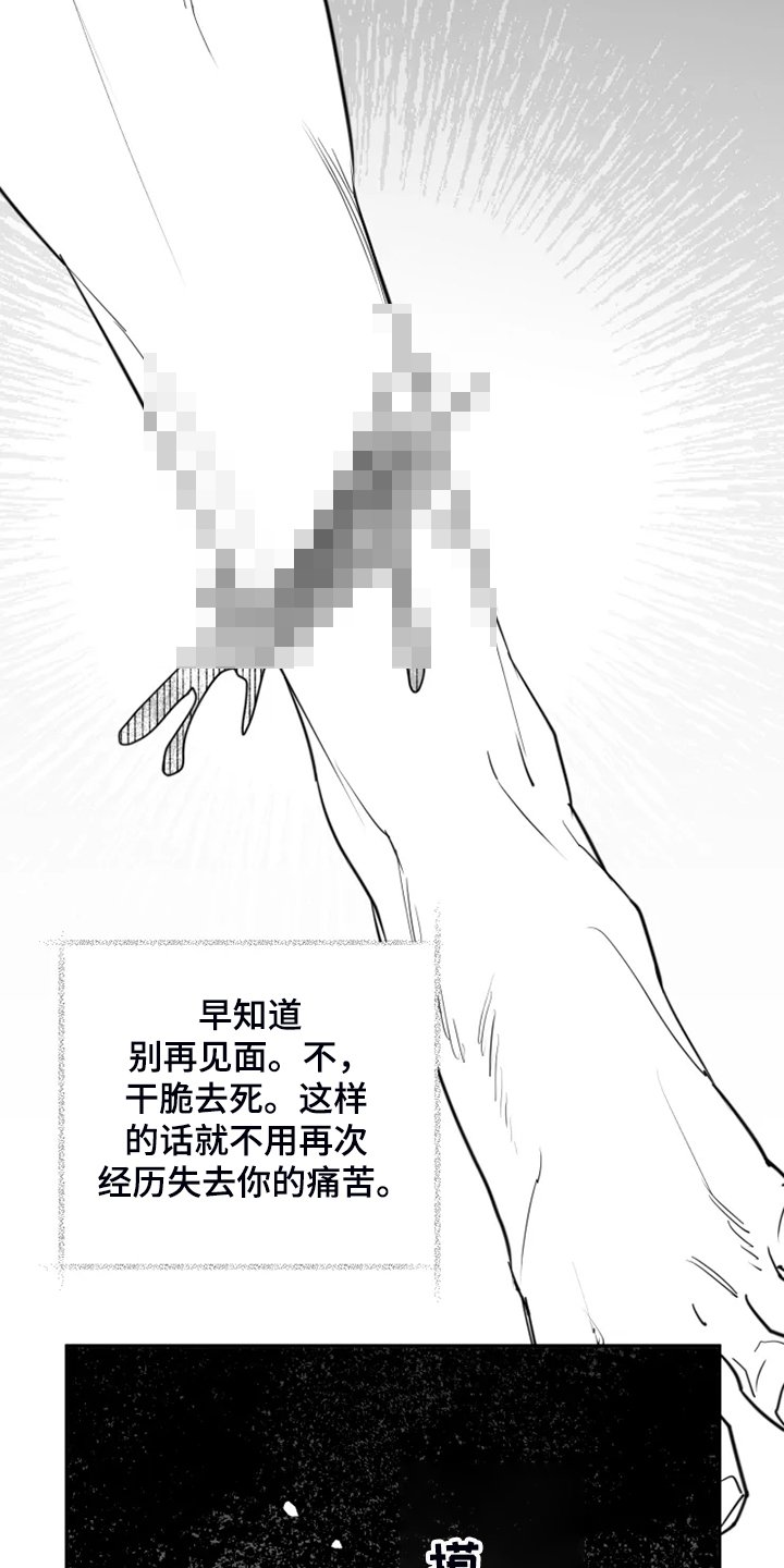 第51章：全都是我的错