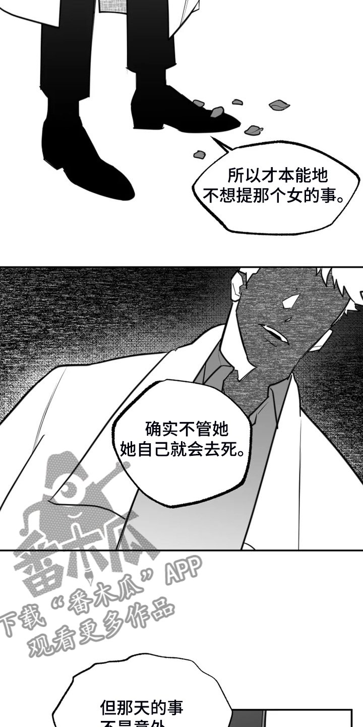 第52章：真真假假