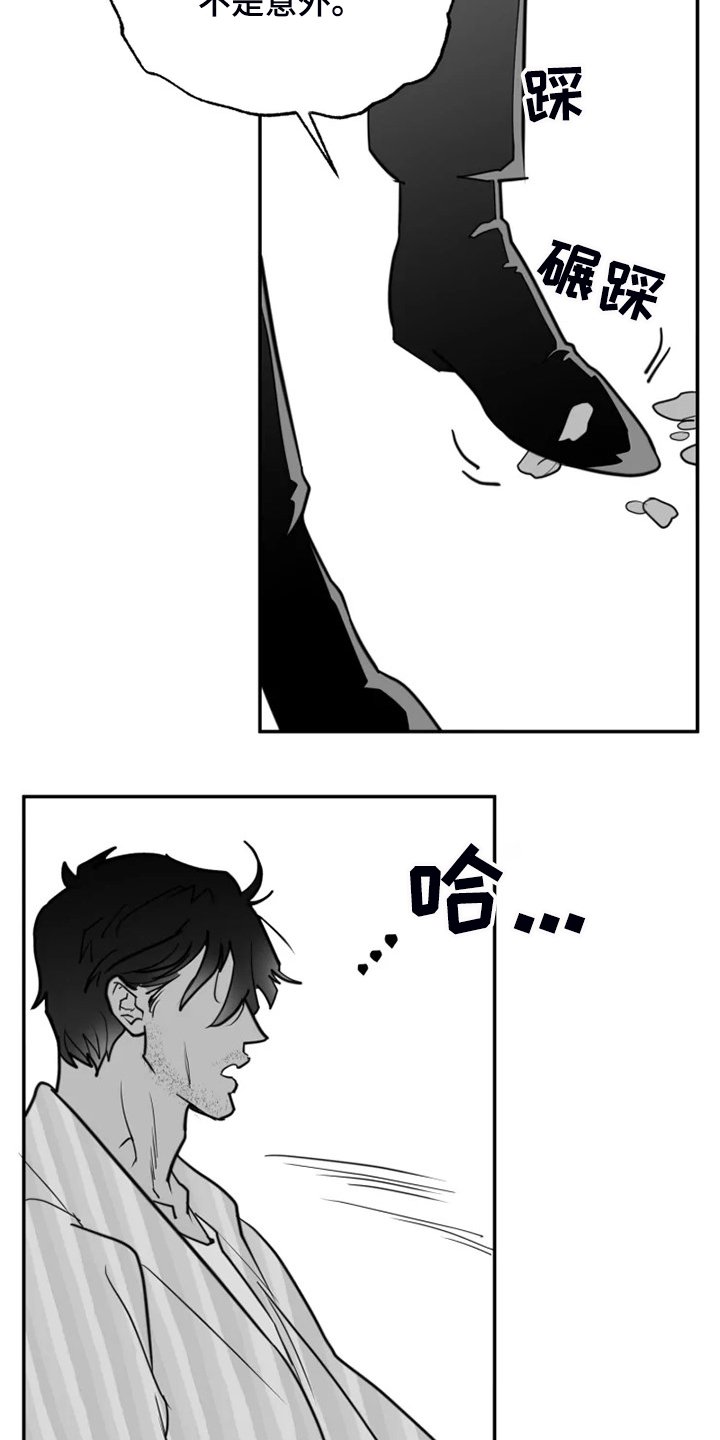 第52章：真真假假