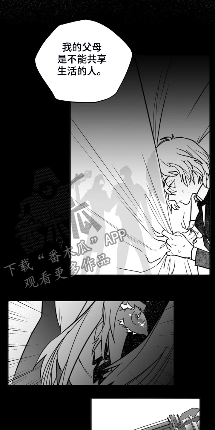 第52章：真真假假