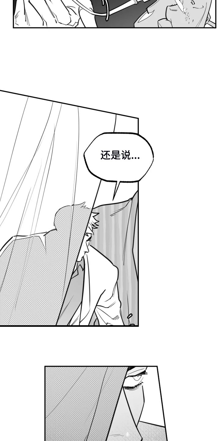 第52章：真真假假