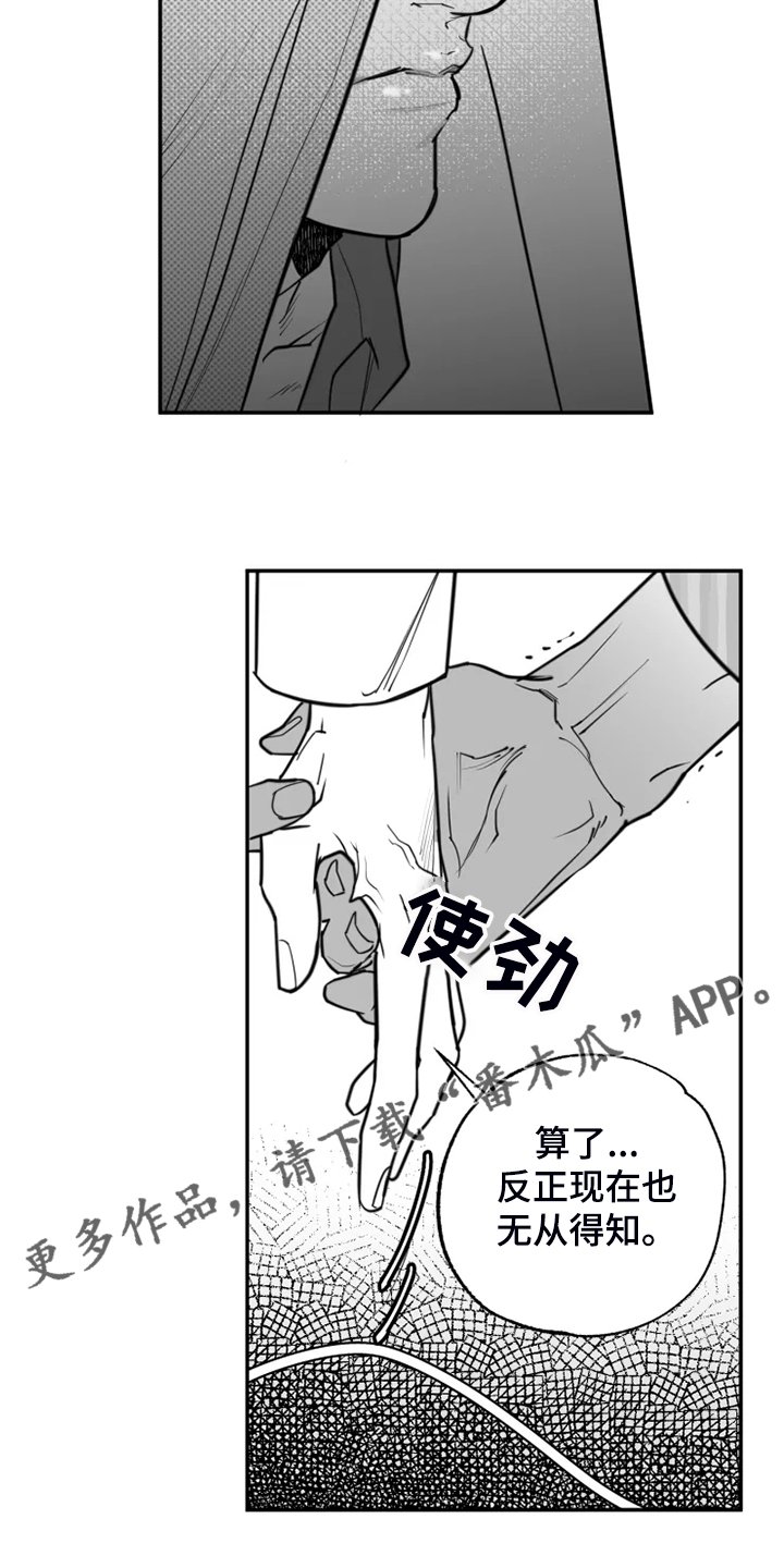第52章：真真假假