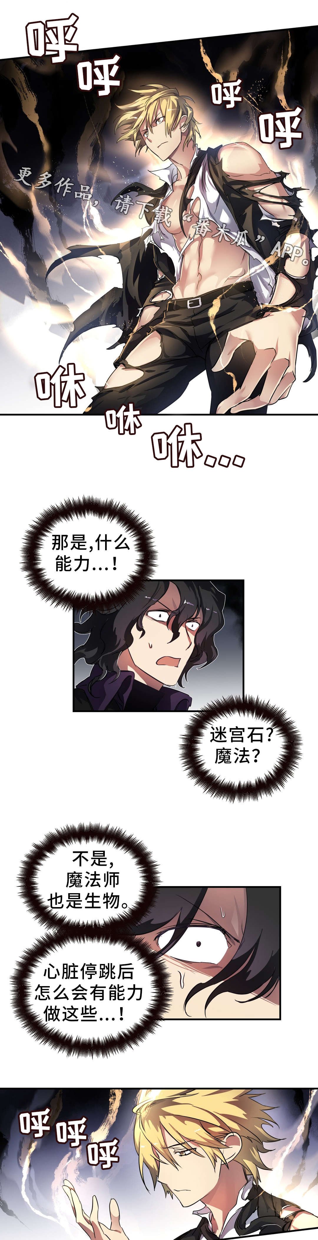 第37章：心脏