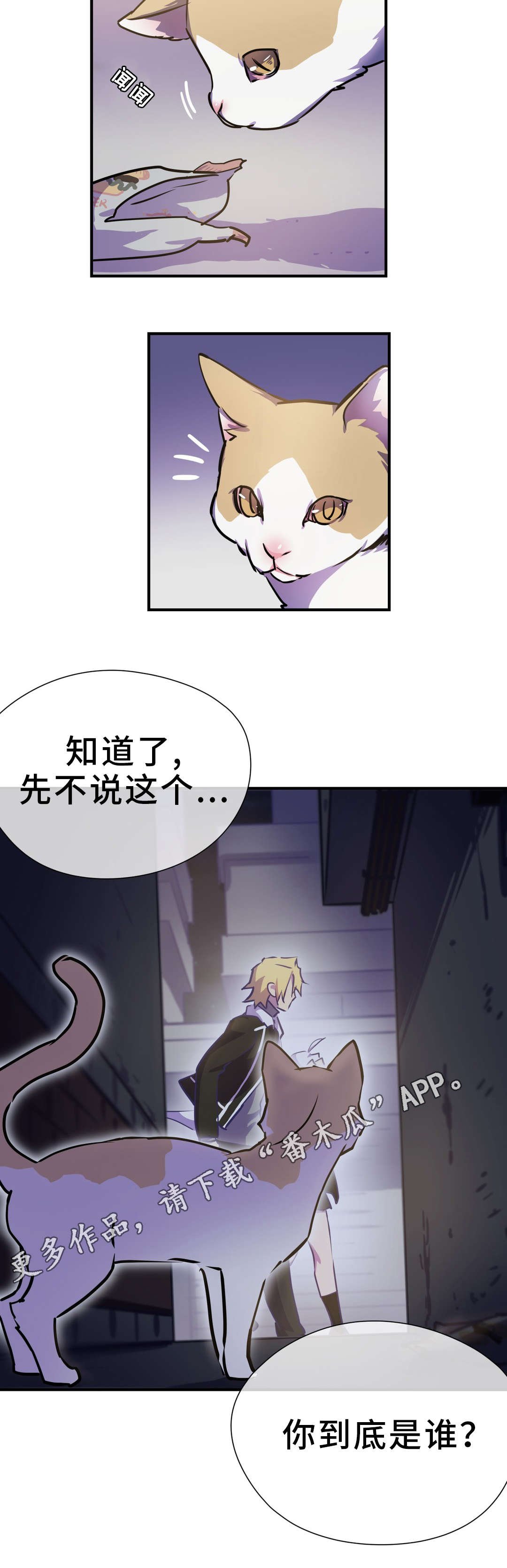 第4章：关系