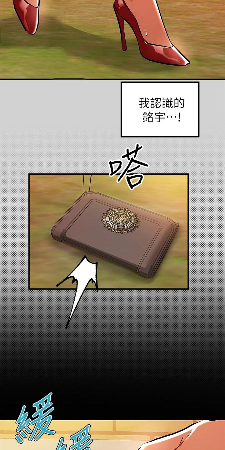 第29章：同情