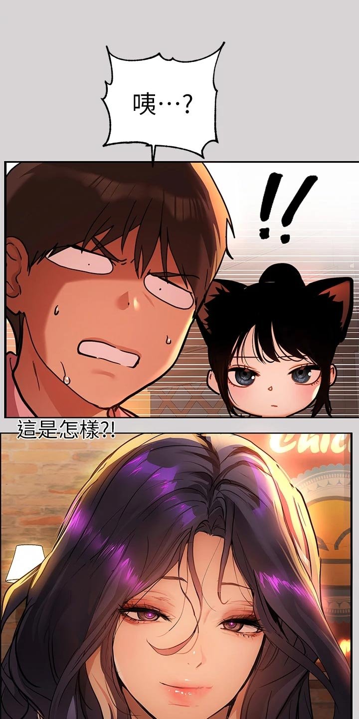 第52章：狐猫相对