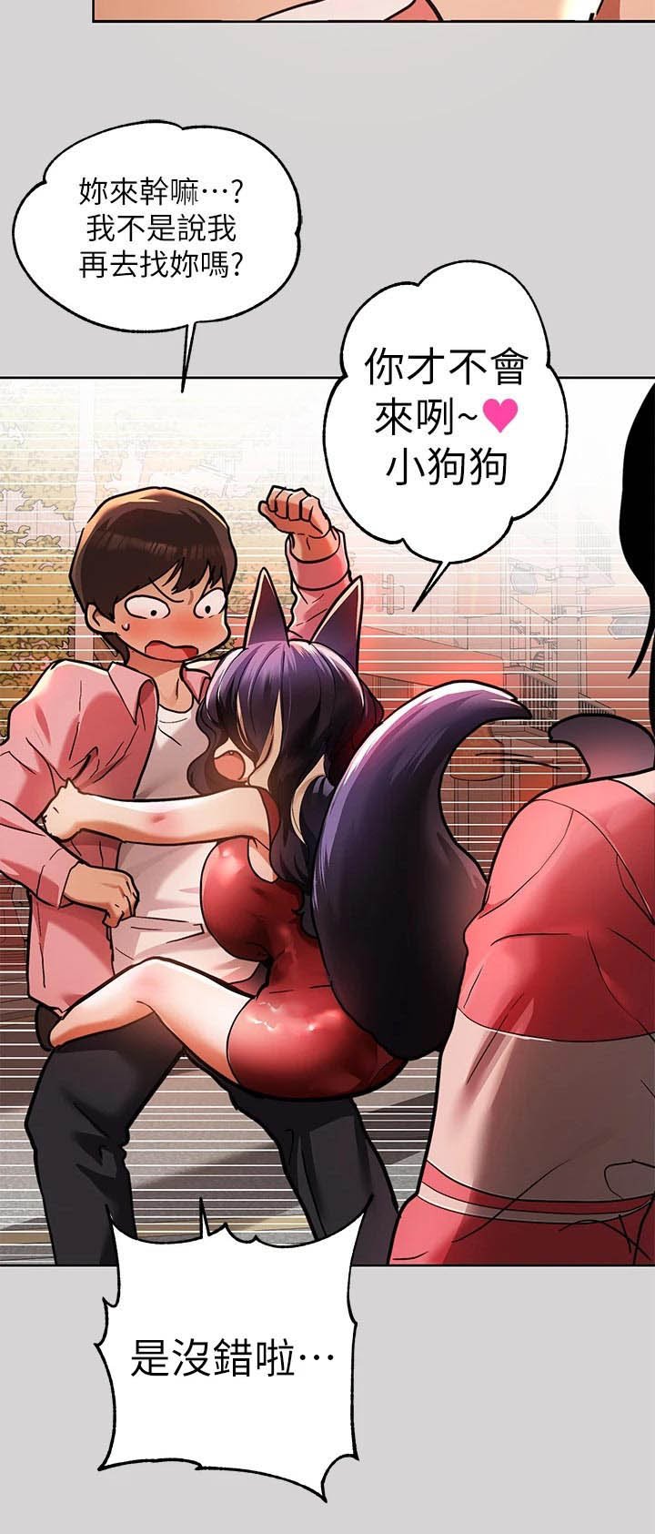 第52章：狐猫相对
