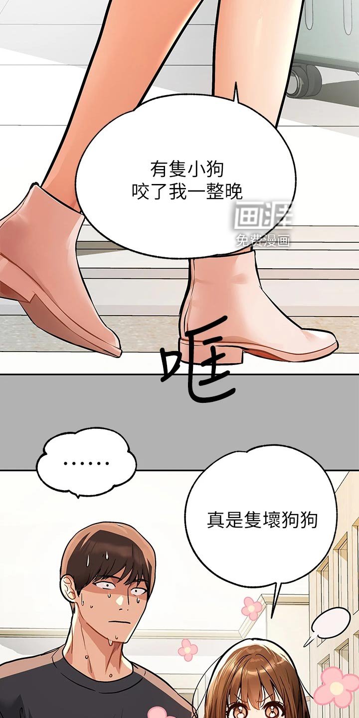 第62章：坏狗狗