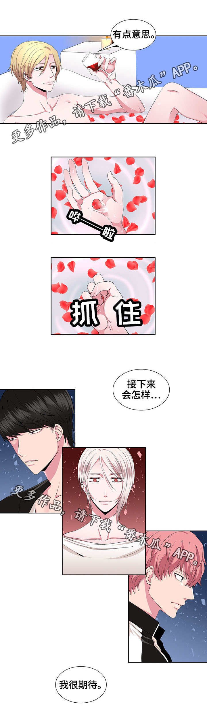 第24章：期待