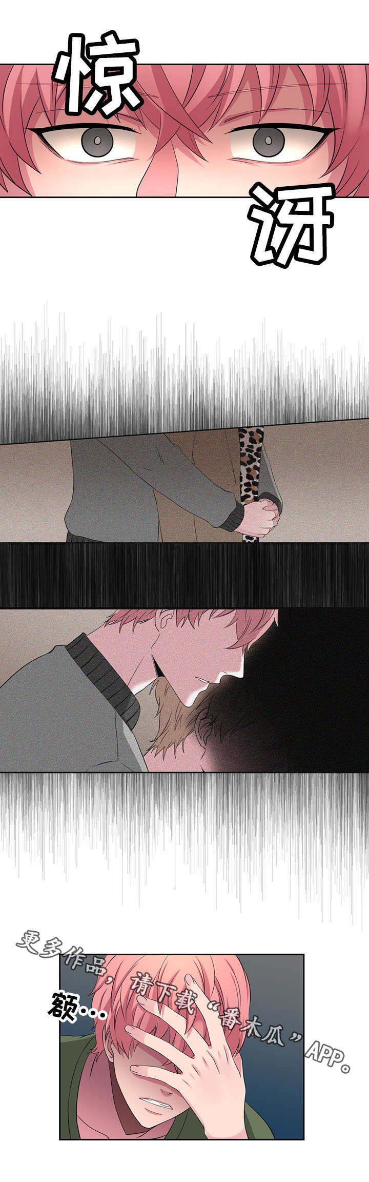 第29章：解释