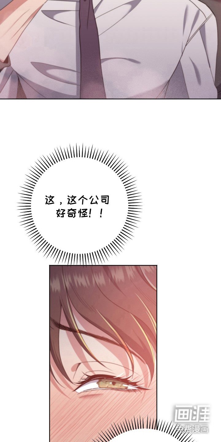 第4章：很不正常