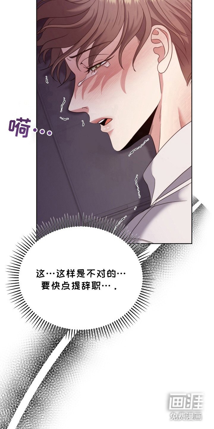 第5章：喜欢的类型