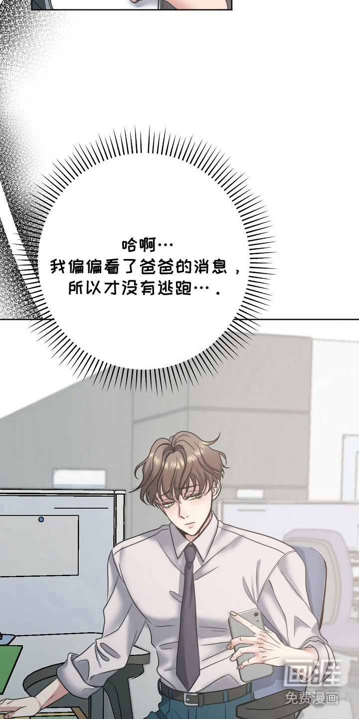 第5章：喜欢的类型