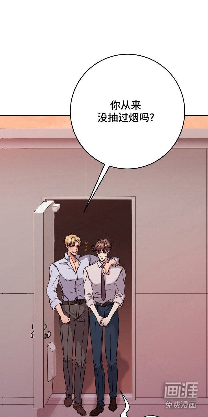 第8章：忽悠