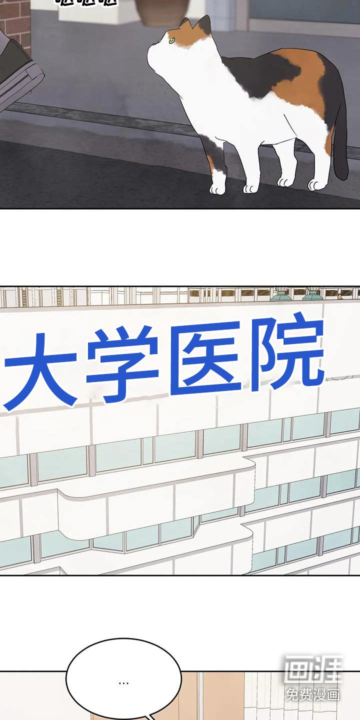 第155章：【第二季】爷爷