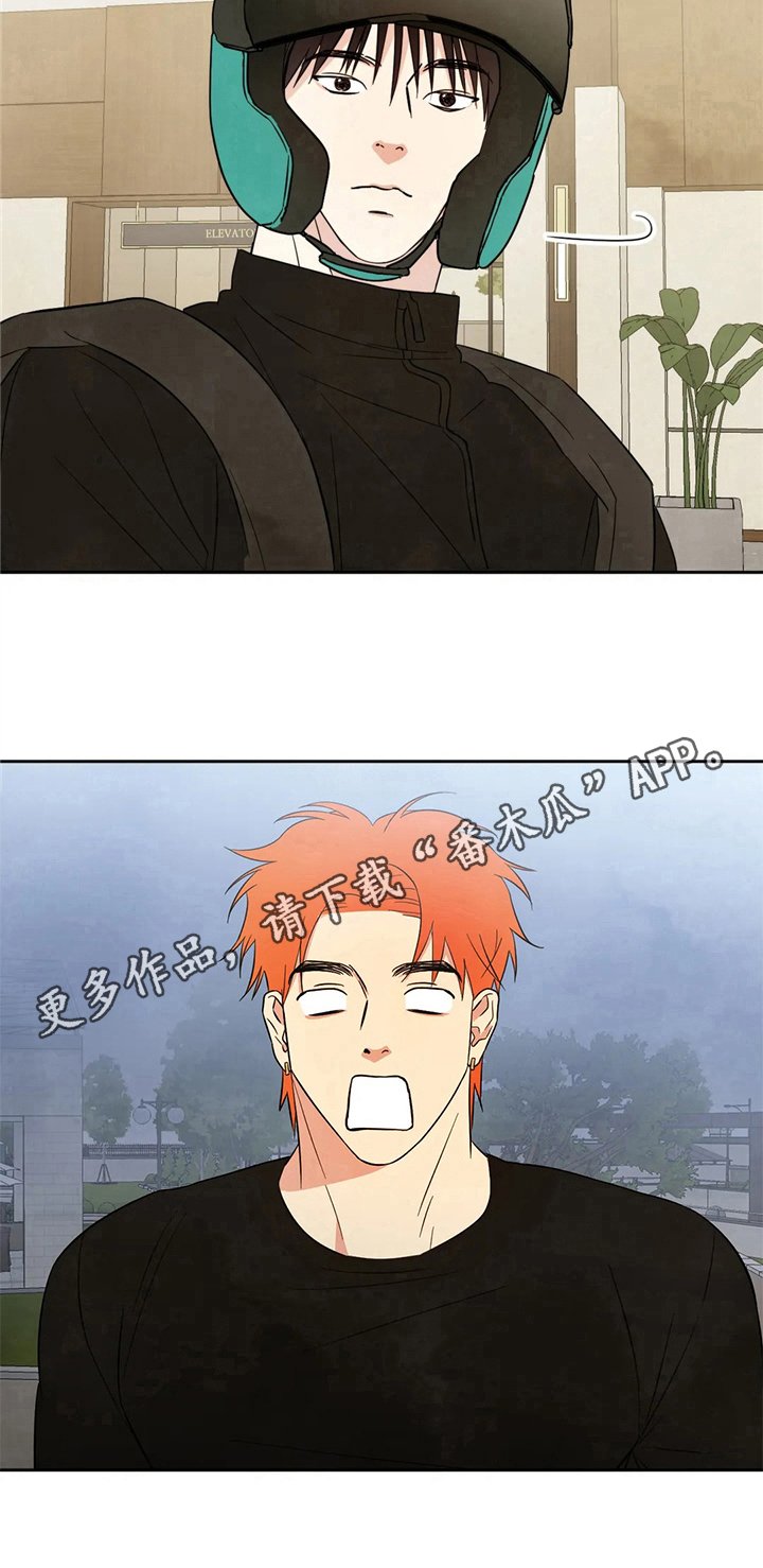 第17章：见识