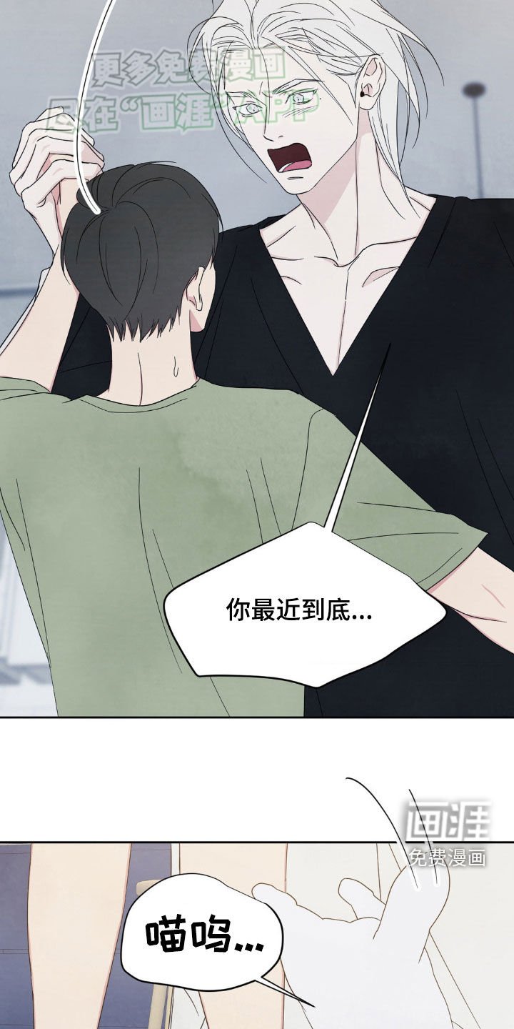 第202章：【第二季】做个了断