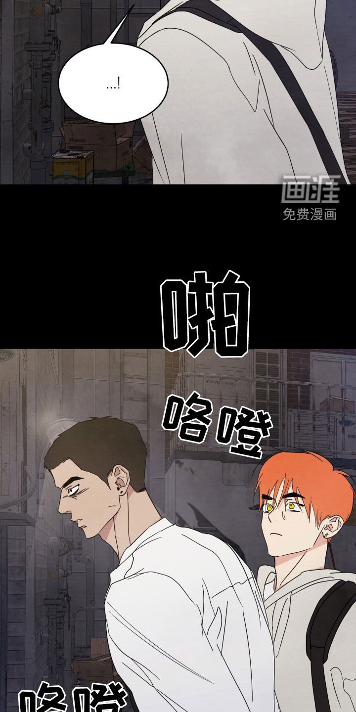第213章：【第二季】我相信你