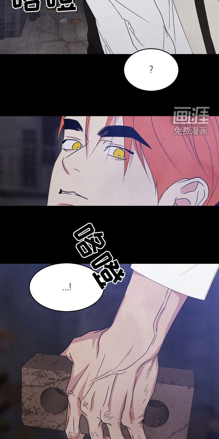 第213章：【第二季】我相信你