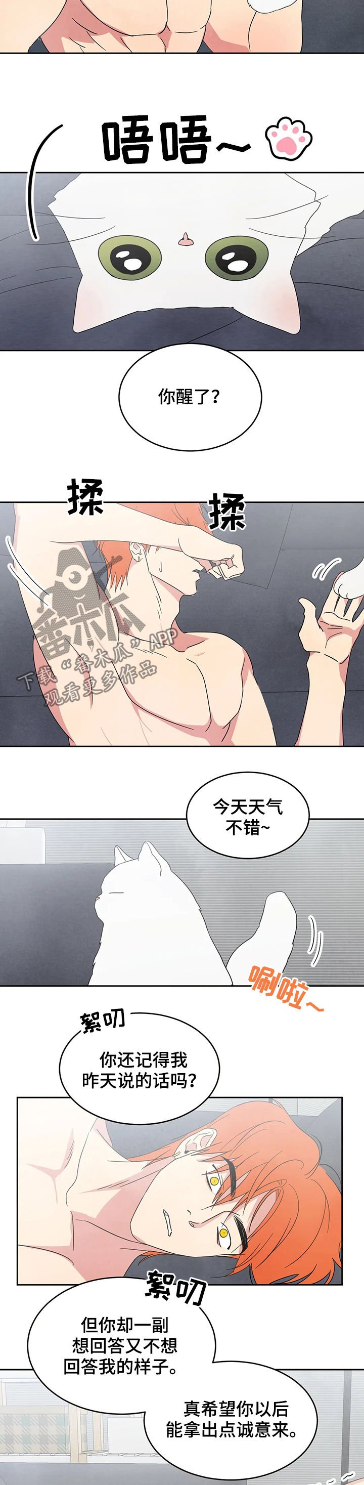 第22章：坦诚一点