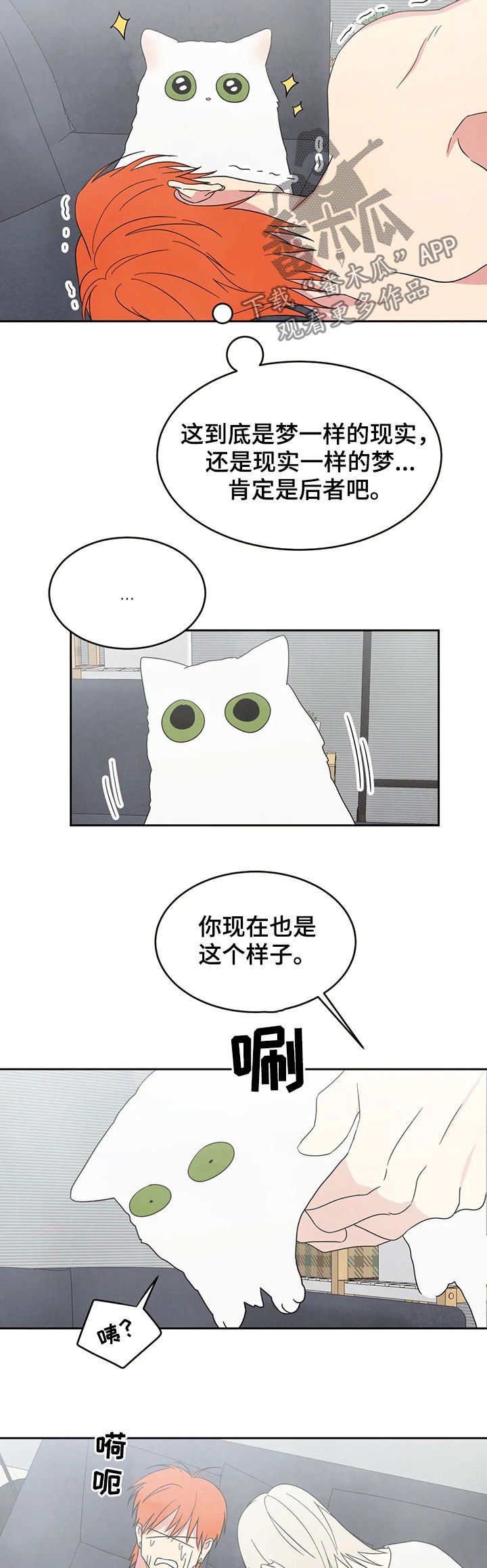 第22章：坦诚一点
