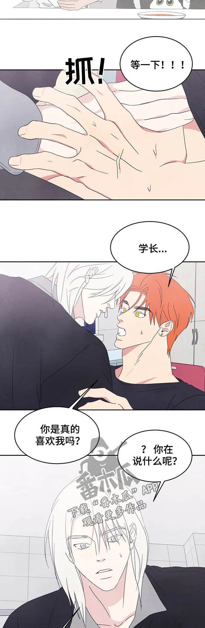 第28章：什么关系